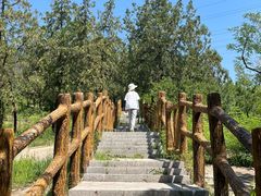 -白水寺森林公园