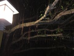 -江门古兜温泉小镇