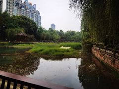 -温江公园