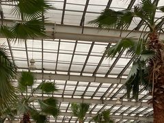 -龙达温泉生态城