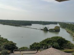 -大湾区中央湿地公园