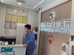 -瑞派·关忠动物医院·猫专科·犬专科(三环新城店)