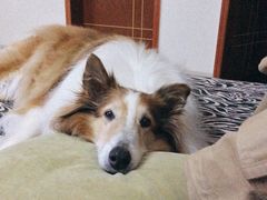 -万达影城(锦华万达广场IMAX店)