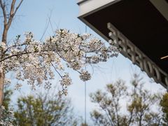 -龙美术馆(西岸馆)