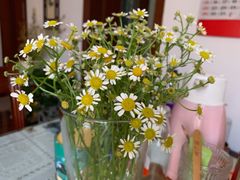 -金太粽(上海弄堂第一粽店)