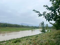 -洨河生态公园