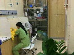 -芭比堂动物医院·24小时·眼科中心(深圳中心)