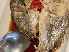 -石榴红了·非遗酥皮烤包子·新疆菜(瑞豪店)