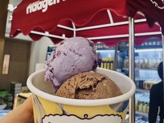 -半岛听涛蒸汽海鲜自助(K11店)