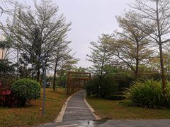 -福田红树林生态公园