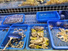 -1937青岛老味道·海肠捞饭·青岛菜(大鲍岛栈桥店)