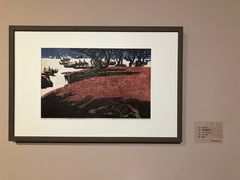 -江苏省美术馆(长江路新馆)