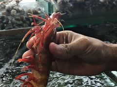 -班赞海鲜市场