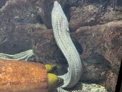 -福州罗源湾海洋世界旅游区