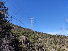 -北京鹫峰国家森林公园