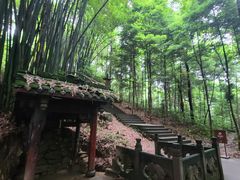 -凤栖山
