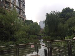-新湖明珠城