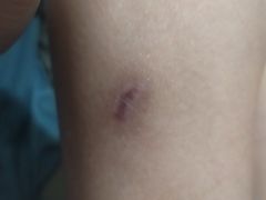 -北京山里寒舍度假酒店