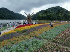 -广州市石门国家森林公园