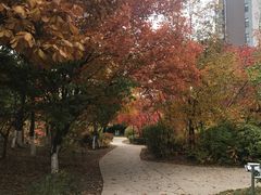 -保利·罗兰香谷