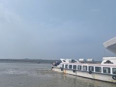 -大鹿岛