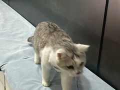 -中农国际动物医院24小时·猫科·骨科·急重症中心