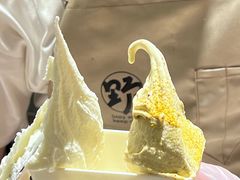 -野人先生Gelato(上海长宁龙之梦店)