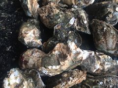 网红高压锅生蚝-土蚝·高压锅生蚝(百姓美食街店)