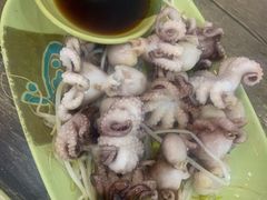芥末白灼八爪鱼-贞姨美食·老字号海鲜大排档