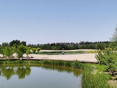 -东郊湿地公园