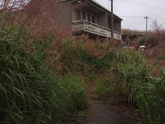 -东极岛景区-青浜岛