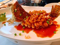 松鼠桂鱼-江南雅厨(李公堤店)