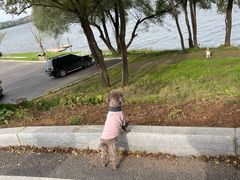 -沈阳站