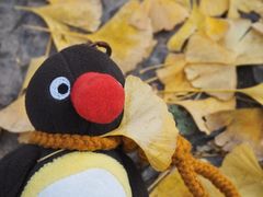 -云龙湖旅游景区