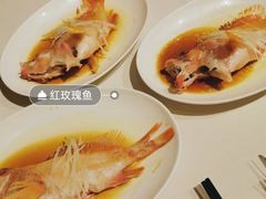 紅玫瑰魚-利苑(环贸iapm店)