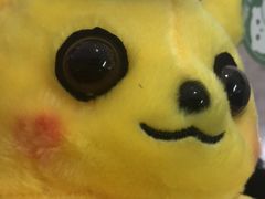 -PAWTOY爪e玩偶店(天兴罗斯福店)