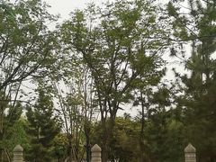 -中国翰园碑林