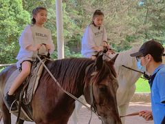 -太阳岛度假酒店