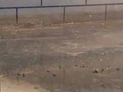 -绿茶餐厅(青岛城阳万象汇店)