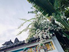 -深圳国际园林花卉博览园