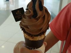 android_upload_pic-GODIVA(王府井apm店)