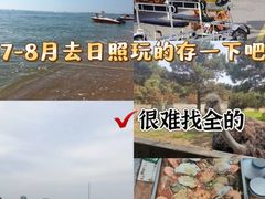 -渡海小渔村.老辈日照菜