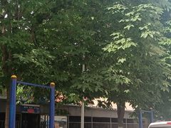 -西安交通大学(雁塔校区)