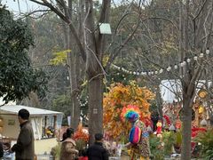 -HERRE·FARM 赫尔露营农场·团建聚会包场