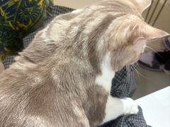 -平行世界·猫咖(首经贸店)