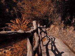 -肇兴侗寨