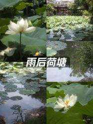 -福州儿童公园