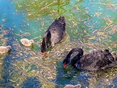 -济南野生动物世界