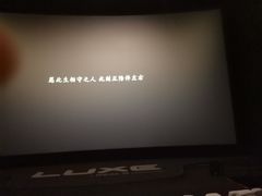 -上影国际影城(成都银泰LUXE店)