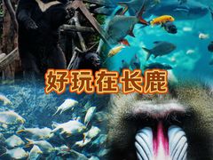 -长鹿旅游休博园